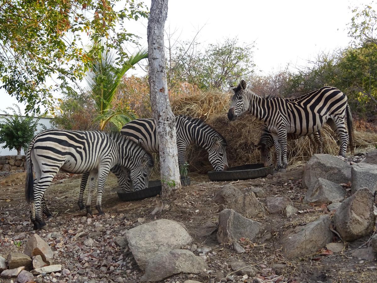 Lake Kariba Inns Siavonga Zewnętrze zdjęcie